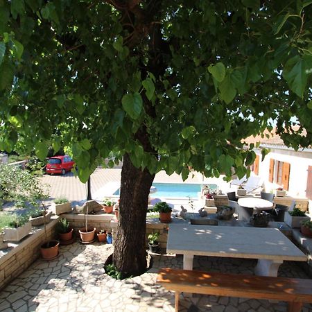Apartments Vesna With Pool - New! Святой Ловреч Пазенатички Экстерьер фото