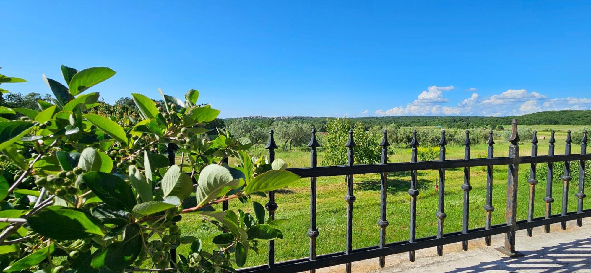 Apartments Vesna With Pool - New! Святой Ловреч Пазенатички Экстерьер фото